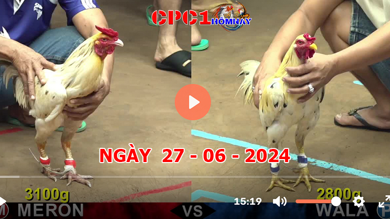 Trực tiếp đá gà CPC1 ngày 27-6-2024