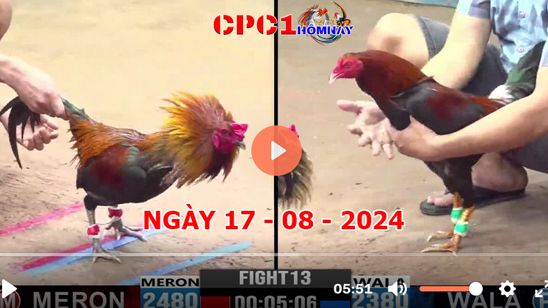 Trực tiếp đá gà CPC1 ngày 17-8-2024